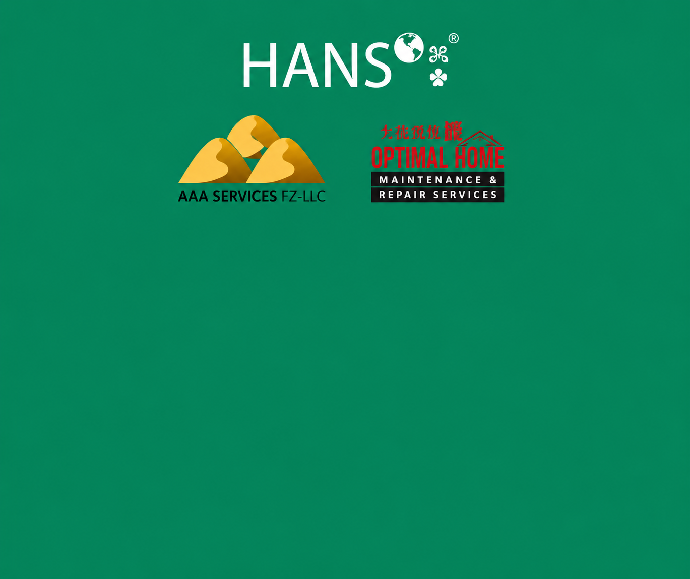 Hans Case Study Template (2)